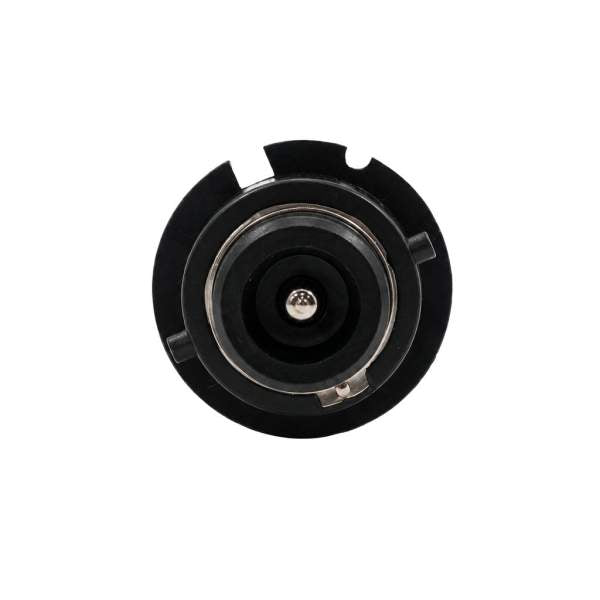 Bec Auto Xenon CARGUARD D2S 6000K