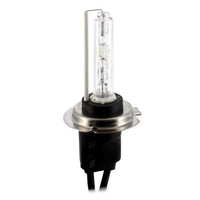 Bec Auto Xenon CARGUARD H7 6000K