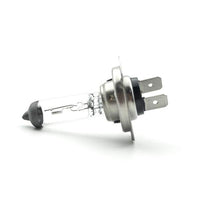 Bec halogen H7, 55W, +30% intensitate - CARGUARD