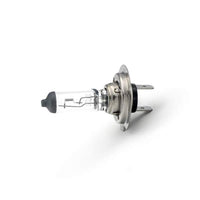 Bec halogen H7 55W, +30% intensitate - CARGUARD