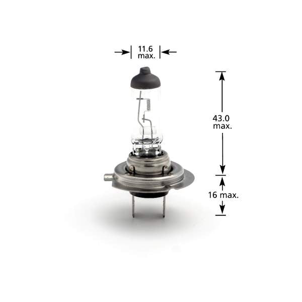 +30% intensitate - CARGUARD