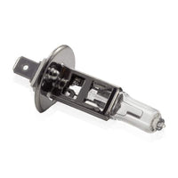 Bec halogen H1 55W, +30% intensitate - CARGUARD