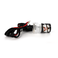Resigilat - Bec Xenon H10-6K - CARGUARD