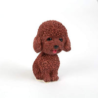 Catel cu cap oscilant - 12 modele - 12 buc./display