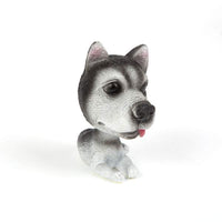 Catel cu cap oscilant - 12 modele - 12 buc./display