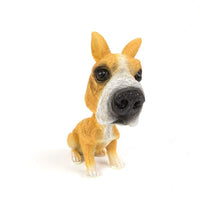 Catel cu cap oscilant - 12 modele - 12 buc./display