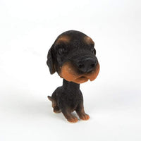 Catel cu cap oscilant - 12 modele - 12 buc./display