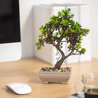 Decor plante artificiale - bonsai - 18 x 24 cm - 4 tipuri