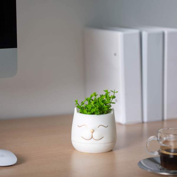 Decor plante artificiale - cap de pisica - 9 x 14 cm - 3 tipuri