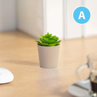 Decor plante artificiale - în ghiveci - 6 x 9 cm - 6 tipuri