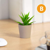 Decor plante artificiale - în ghiveci - 6 x 9 cm - 6 tipuri