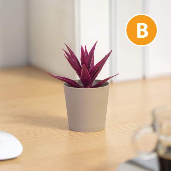 Decor plante artificiale - în ghiveci - 6 x 9 cm - 6 tipuri