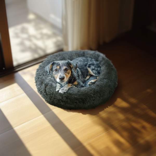 Pat pentru câini - rotund - marime "XL" - 80 cm - gri